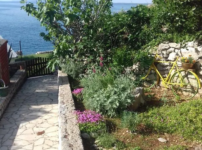 Rojal *
