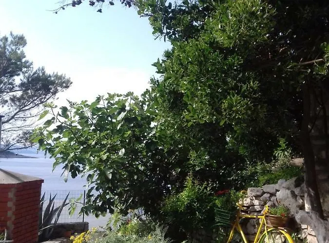 Διαμέρισμα Rojal *