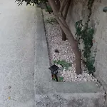 Rojal 아파트 *