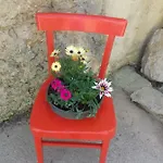 Rojal 아파트 *