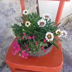 Rojal 아파트 *