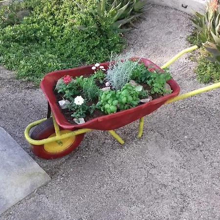 شقة Rojal *