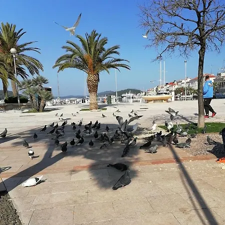 Daire Rojal Mali Lošinj