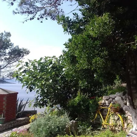 Appartamento Rojal *