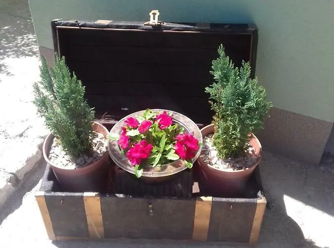 Rojal * Mali Lošinj